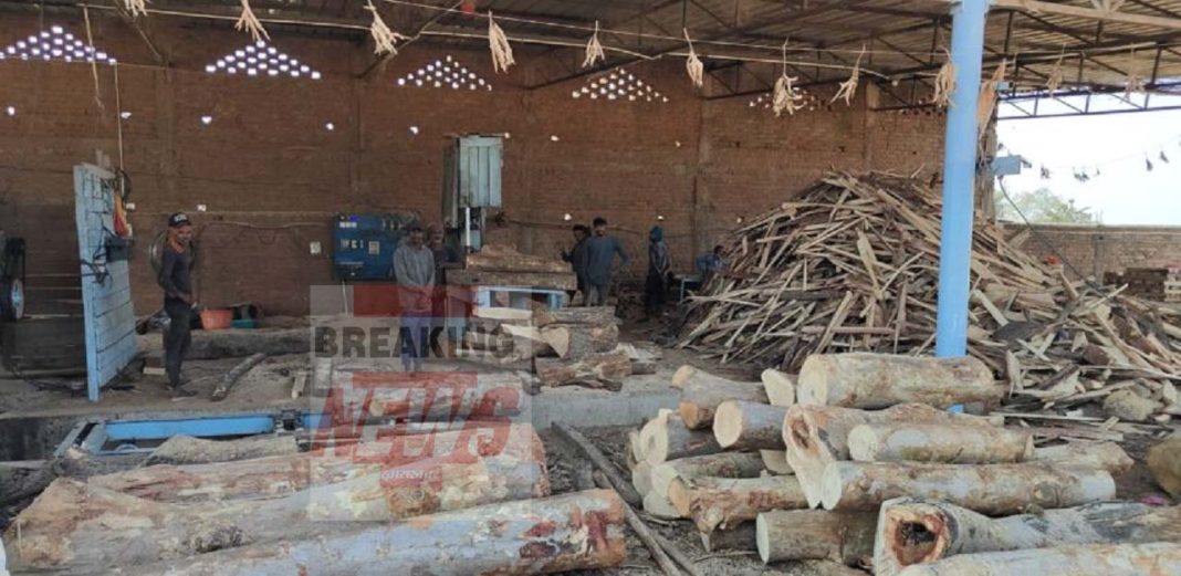 BREAKING : Forest department sealed 5 saw mills