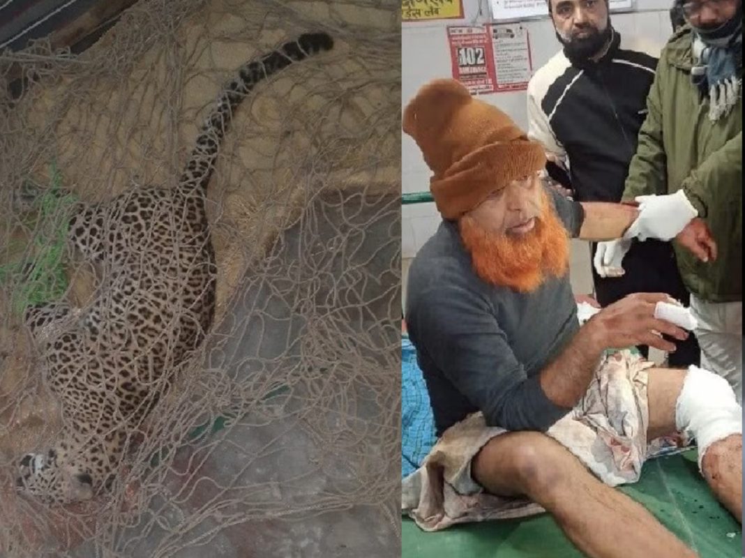 Leopard entered the mosque and attacked the Namazis, causing uproar